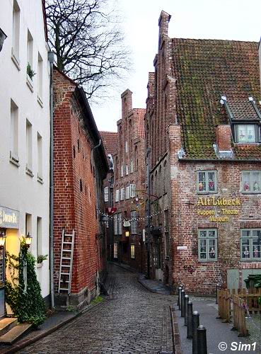 Picturesque alleyway and Puppet Theatre Museum